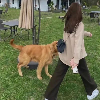 死亡疗养院
